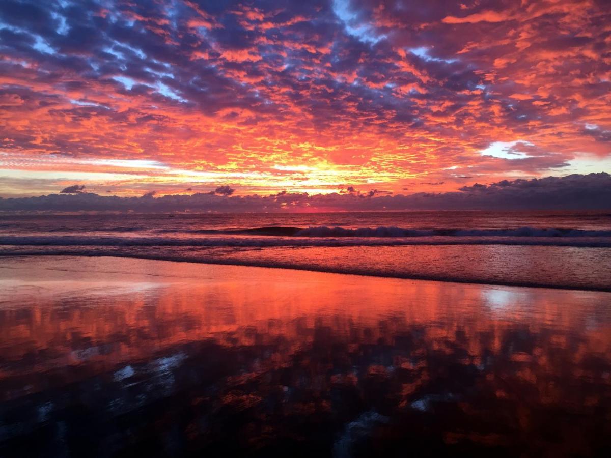 Absolutely Stunning! On The Beach !!! โกลด์โคสต์ ภายนอก รูปภาพ